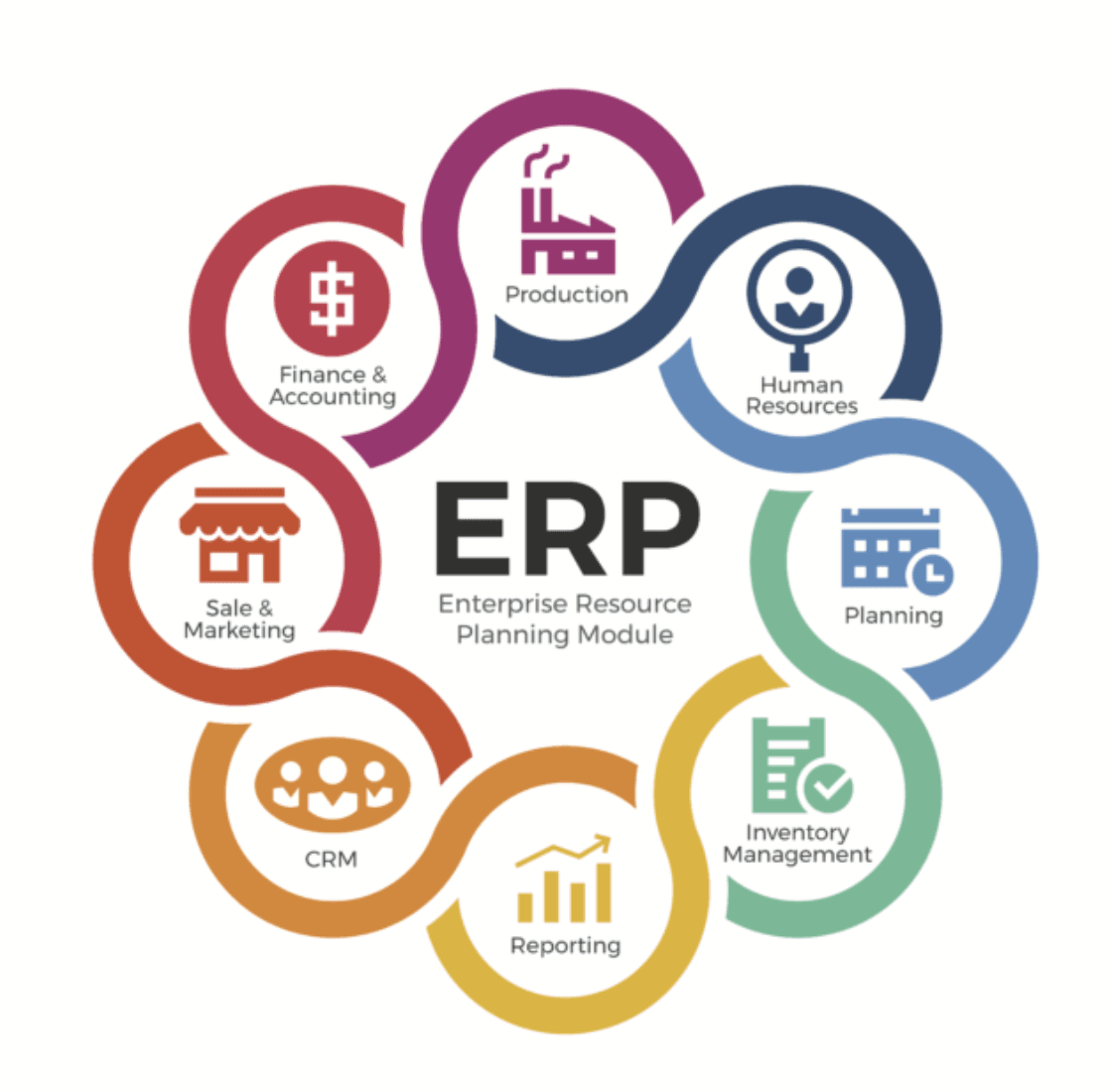 ERP Development & Consultancy